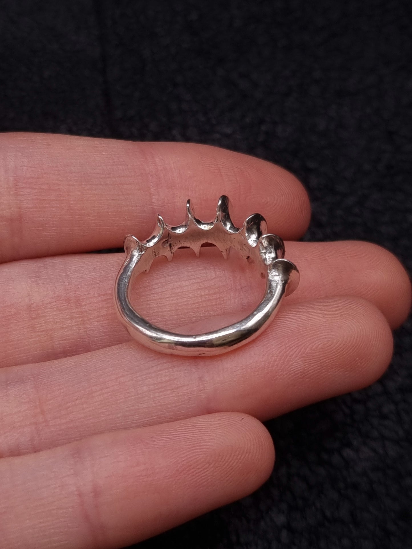 Spine blade ring
