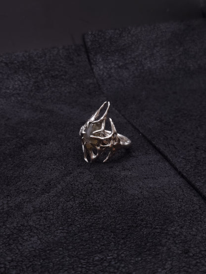 Blue chaotic ring